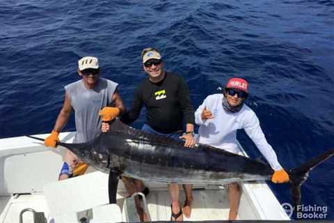 How to Go Marlin Fishing in Costa Rica: An Angler’s Guide