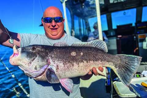 Tautog Jigs vs. Rigs