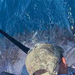 Blue Marlin, Tuna & Wahoo Action All Hot In The Galapagos Islands Right Now