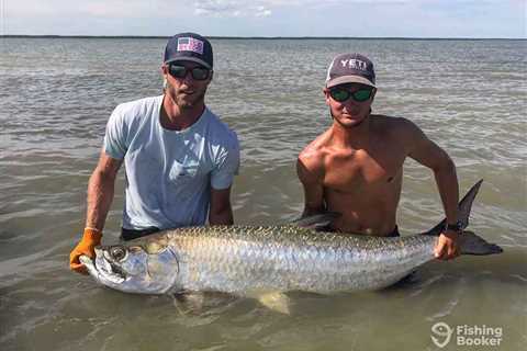 How to Go Tarpon Fishing in South Carolina: An Angler’s Guide