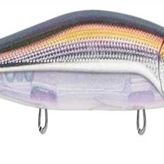 Top Four Lures for October
