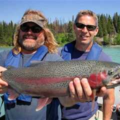 How to Go Rainbow Trout Fishing: An Angler’s Guide