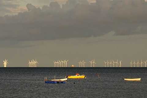 Scientists to Study Offshore Wind Impacts on Fish