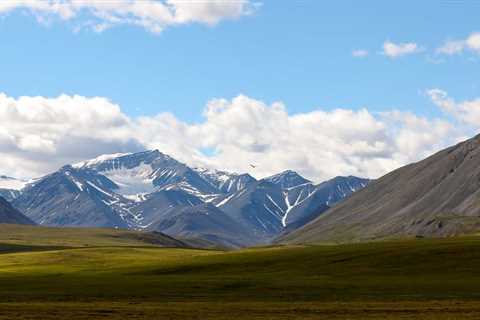 Orange Rivers in Alaska