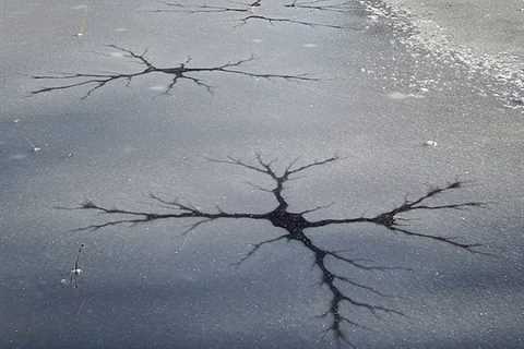 Two Brothers Fall Through the Ice on Frozen Pond in Upstate NY