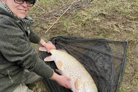 Bumper day’s piking for Seamus and friends in Antrim