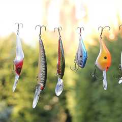 Fishing Poppers: A Beginner’s Guide