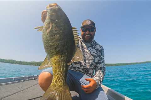 Finesse Tricks For Skittish Bass ( Early Fall )