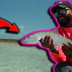 Catching the 10th fastest fish in the world  | 2 days Fishing in the Bahamas