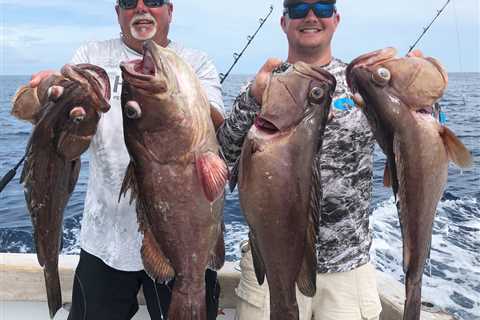 The Ultimate Fishing Adventure with FishCostaRica