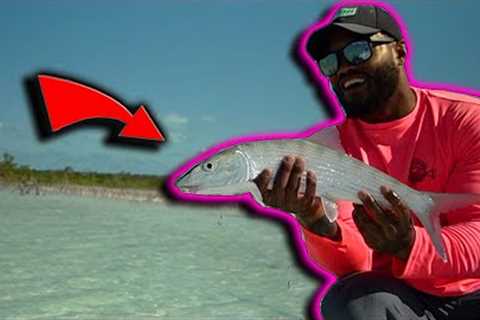 Catching the 10th fastest fish in the world  | 2 days Fishing in the Bahamas