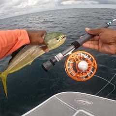 mahi mahi in the Gulf of Mexico, fly fishing in the intense summer heat