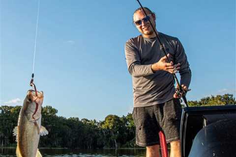 Bass Fishing Rods: A Beginner’s Guide for 2024