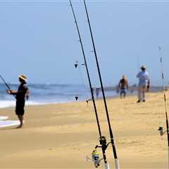 The Best Rigs for Beach Fishing: A Beginner’s Guide for 2024