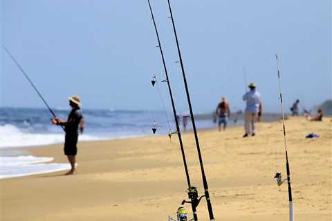 The Best Rigs for Beach Fishing: A Beginner’s Guide for 2024