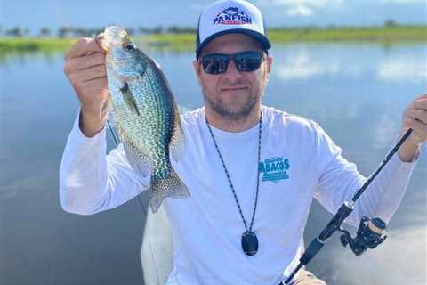 The Best Crappie Fishing Rods: An Angler’s Guide for 2024