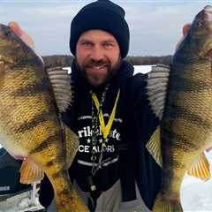 How to Go Yellow Perch Fishing: The Complete Guide for 2024