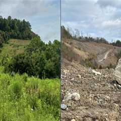 The Current State of Forestry in Northeast Tennessee