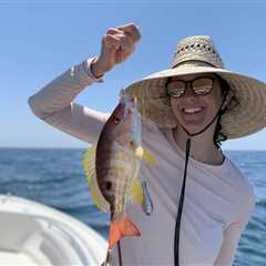 Lane Snapper Size Limit Change: What It Means for You