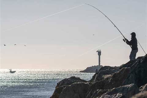 15 Interesting Facts About Fishing for 2025