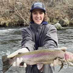 10 Expert Trout Fishing Tips: What You Need to Know