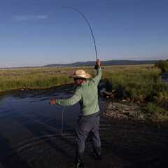 Wyoming Fly Fishing: 4 Dry Fly Patterns for Summer for 2025