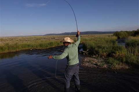 Wyoming Fly Fishing: 4 Dry Fly Patterns for Summer for 2025