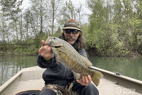 10 Expert Bass Fishing Tips for Beginners