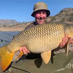 Biggest Freshwater Fish: The World’s Heavyweight Hitters Revealed!