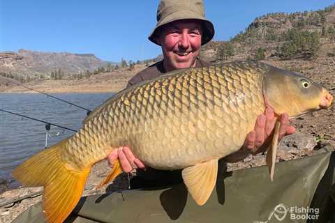 Biggest Freshwater Fish: The World’s Heavyweight Hitters Revealed!