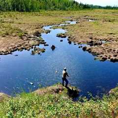 Bank Fishing Tips to Catch Your Limit from Shore