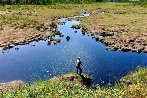 Bank Fishing Tips to Catch Your Limit from Shore