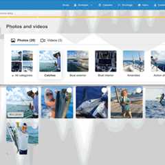 New: Categorized Gallery and In-App Support