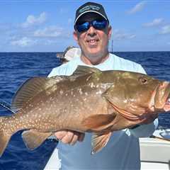 More Red Grouper, Fewer Closures: Gulf Council’s New Recommendation for 2026