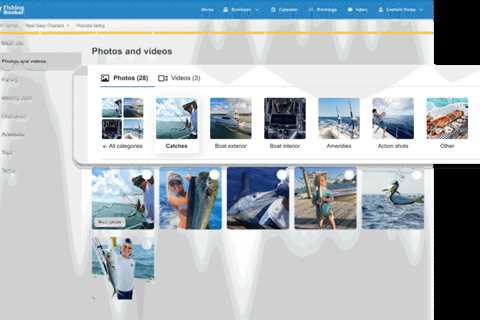 New: Categorized Gallery and In-App Support