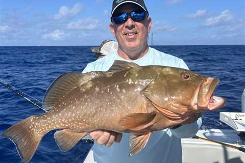 More Red Grouper, Fewer Closures: Gulf Council’s New Recommendation for 2026