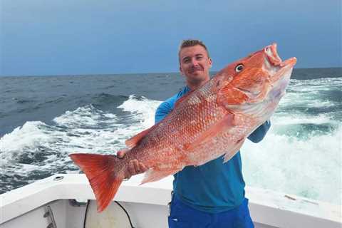 Get Stoked for Red Snapper Season 2026: Why Alabama’s Beaches Should Be Your Base