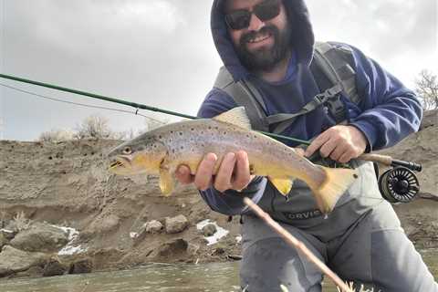 California Trout Seasons: An Angler’s Guide for 2026