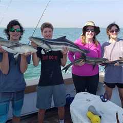 Cobia Season in Virginia: An Angler’s Guide for 2026