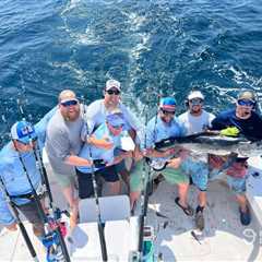 White Marlin Open 2026: Tournament Dates, Fees, Prizes, Rules, and How to Fish and Watch