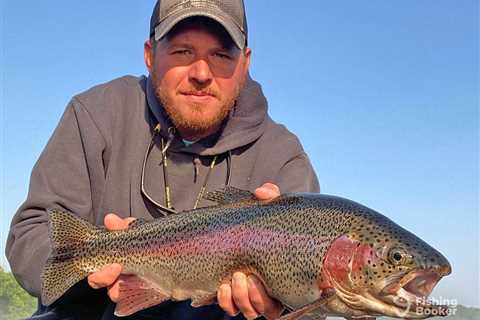 Missouri Trout Seasons: An Angler’s Guide for 2026