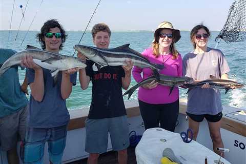 Cobia Season in Virginia: An Angler’s Guide for 2026